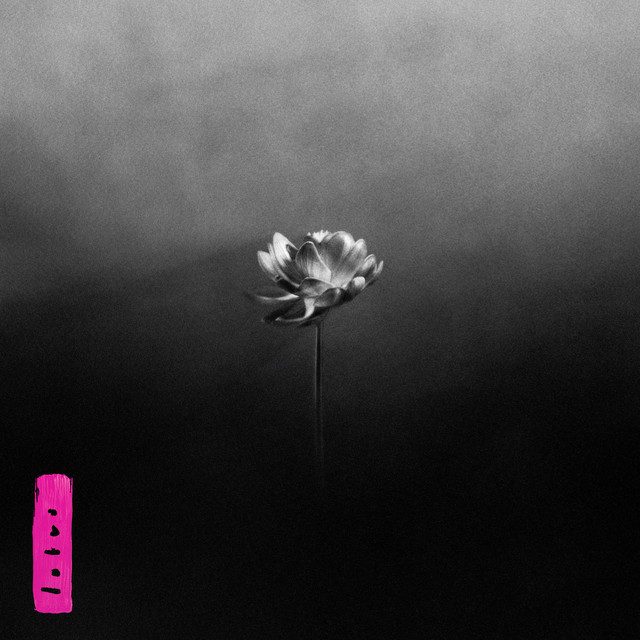 Capa de Lotus