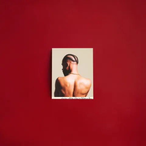 Capa de UM DIA VAIS PERCEBER