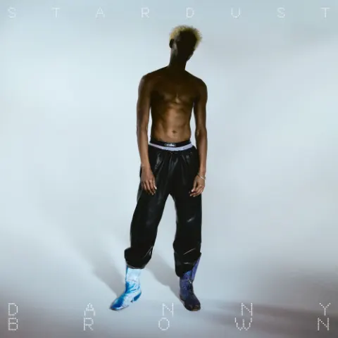 Capa de Stardust