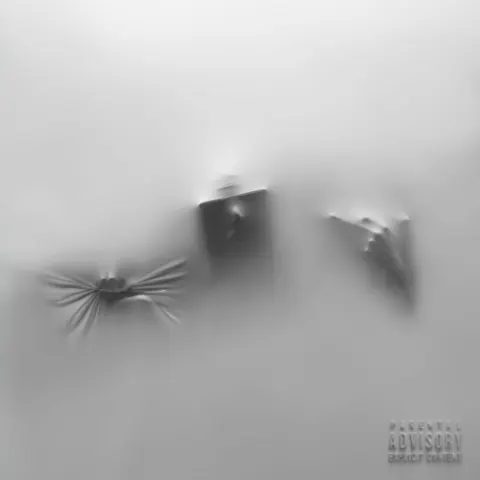 Capa de COCOON